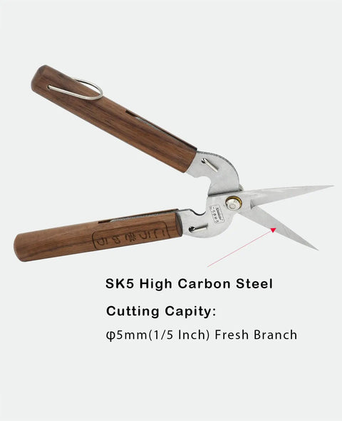 Razor Sharp Pruning Shears For Gardening With Carbon Steel Blade And Walnut Wood Handle open displaying cutting capacity.