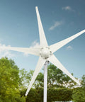 Beefy 1200W Wind Generator With 5 Blade Low Start Up Speed 2.5 m/s Weather Resistant Wind Turbine in outdoor setting