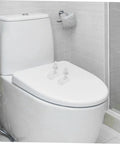 2 Pack Toilet Seat Mounting Bolts And Nuts With Quick Release Plastic Screws For Bidet Toilet Seat Fixing installed on toilet