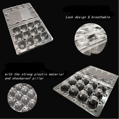 Clear PVC 12-grid quail egg cartons, showing lock design and shockproof pillars for Quail Egg Storage Kit With 12 Grid Cartons