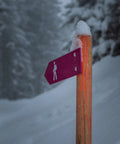Snow-covered hiking trail signpost with a purple arrow and hiker symbol, surrounded by snowy trees.