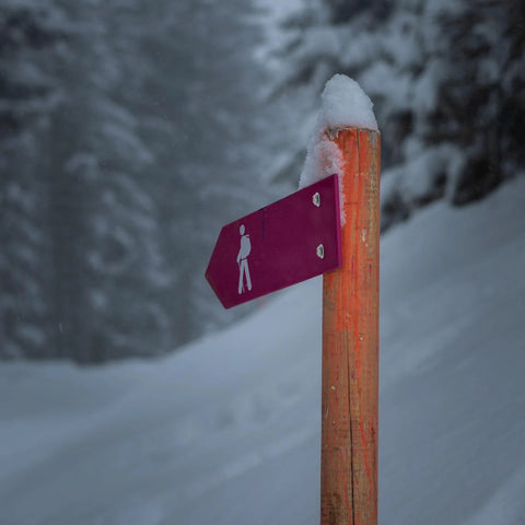 Snow-covered hiking trail signpost with a purple arrow and hiker symbol, surrounded by snowy trees.