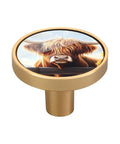 Four Pack Highland Cow Sunflower Gold Cabinet Knobs With Dual Screws, Dope Round Drawer And Wall Pulls, Scratch-Resistant Gold Print