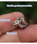 Close-up of One Piece Pro Grade Precision Stepper Motor Starter With Planetary Gearbox showing output shaft and gear detail.