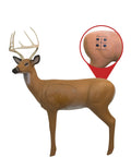 Durable Self Healing Foam Buck Deer 3D Archery Target Handles Thousands Of Shots From Compound Bows Crossbows And Traditional Bows