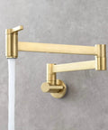 Brushed Gold Wall Mount Pot Filler Faucet With Folding Reach And Brass Construction Sixteen Point Seven Inch Extension Single Hole Install For Hot Or Cold Water Fast Fill Near Stove Easy Reach Kitchen Upgrade