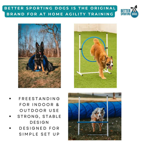Backyard Dog Agility Set 3 Piece Essential Agility Equipment For Canine Training with tunnel, tire jump, bar jump shown in use
