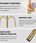 Tohlar Gold Kitchen Faucet with Pull Down Sprayer showcasing single-handle control and 360-degree swivel spout.