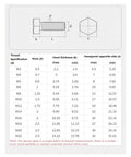 Detailed specifications chart for M3 to M22 hex bolts, includes thread pitch and head thickness measurements.