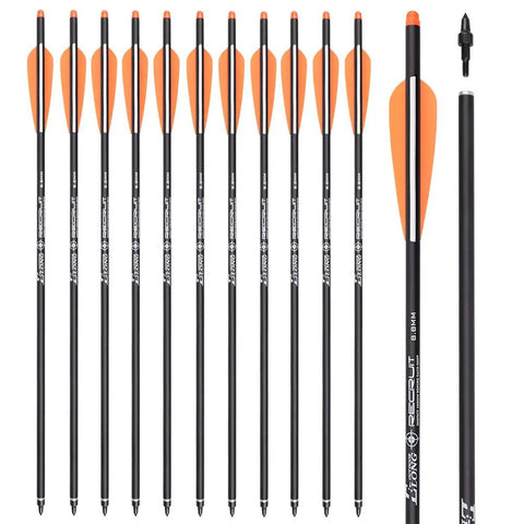 12 pack of 16 Inch Carbon Crossbow Bolts For Hunting And Archery Arrows With 4 Inch Vanes Moon Nocks Target Tips