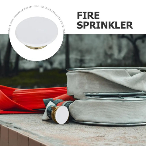 Sleek Iron Fire Sprinkler Nozzle Cover Plate With Tough Head Protector and Snug Ceiling Escutcheon on a surface.