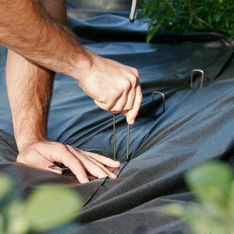 Installing 100 Pack 12 Inch Garden Stakes Pins Heavy Duty Landscape Staples For Garden Fence Ground Anchoring Weed Barrier Fabric