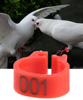 8mm Plastic Pigeon Leg Bands With Numbered IDs 001-100 Red Durable Bird Rings For Poultry Management and Breeding, shown on pigeon