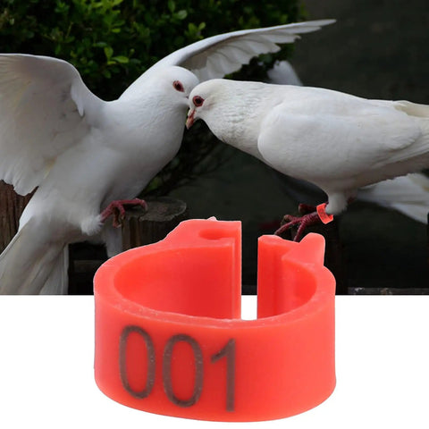 8mm Plastic Pigeon Leg Bands With Numbered IDs 001-100 Red Durable Bird Rings For Poultry Management and Breeding, shown on pigeon