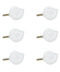 Six Pack Resin Beach Conch Cabinet Knobs In Antique White Finish, 3D Shell Pull Handles For Cabinets Drawers And Doors