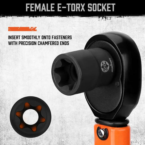 Female E-Torx socket from Pro Grade Torx Bit Socket Set With 14 Star Bits T8 To T70 And 12 ETorx Sockets E4 To E24 Plus 4 Heavy Duty Impact Adapters