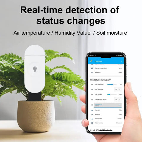 Intelligent Soil Moisture Sensor 3 Pack With Capacitive Probes, Zigbee Hub Required, shown monitoring plant moisture and temperature.
