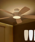 22 Inch Ceiling Fan With Remote Control DC Motor And 3 Color Temperature Light Ultra Quiet Energy Saving White Finish