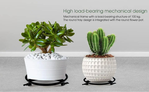 15 Inch Plant Caddy With Wheels Heavy Duty Construction Supports Up To 300 Lbs With Brakes Polyurethane Silent Swivel Casters in use