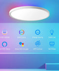 Smart RGB LED Ceiling Light 12 Inch Flush Mount 24W With WiFi And Voice Control For Alexa And Google Assistant 2700K To 6500K Brightness