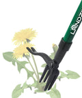 Stand Up Weeder Tool With 55 Inch Steel Long Handle removing dandelion using claw and lever mechanism in garden