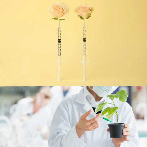 100 Pcs 3ml Luer Lock Syringe Set 25G 1.5 Inch Needles Individually Wrapped Plastic And Steel Build, used in plant cultivation