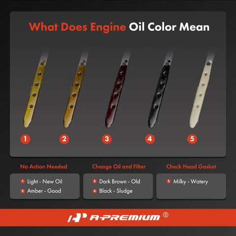 Image showing the color guide for 3.8L V6 engine oil dipstick compatible with Chevrolet Buick Oldsmobile and Pontiac models.