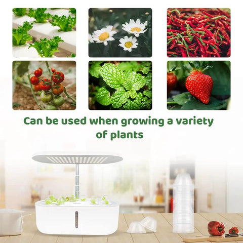 Hydroponic setup with Clear As Day See Through 50 Pack 4cm Inner Diameter Grow Domes for plant germination and propagation.