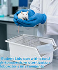 2 Pack Heavy Duty Lab Mouse And Rat Cages With Stainless Steel Mesh Lids, handling a lab mouse with blue gloves in a lab setting.