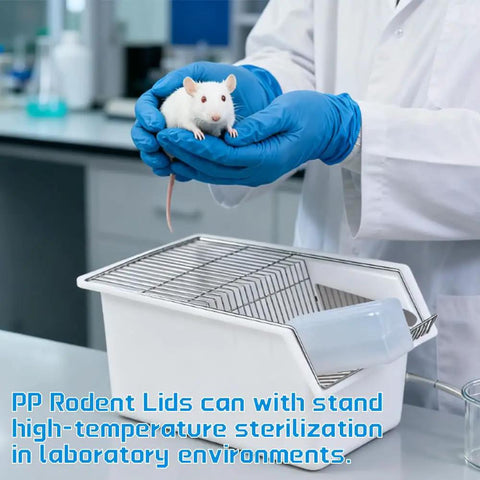 2 Pack Heavy Duty Lab Mouse And Rat Cages With Stainless Steel Mesh Lids, handling a lab mouse with blue gloves in a lab setting.