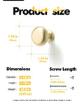 Diagram showing dimensions of 2 Pack Brushed Gold Cabinet Knobs Set Vintage Retro Drawer Pulls with size and screw length details.