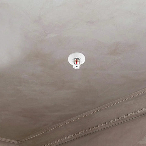 10 Pack Heavy Duty Plastic Fire Sprinkler Cover Plates Waterproof Escutcheon Ring Wall Mount Flange For Disc Heads Removable Or Nonremovable 2 48 In seen installed on ceiling.