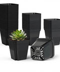 Thickened 4 Inch Seed Starting Pots 80 Pack With Drainage Holes Built Tough Durable Plastic Nursery Pots stacked and in use with succulent