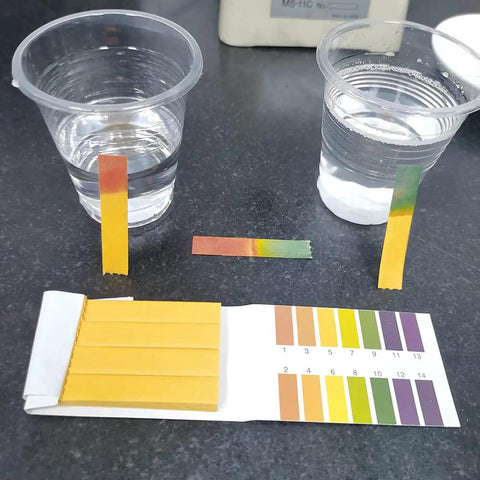 PH Test Strips 20 Pack for Urine Saliva Drinking Water Pool Spa Soap Fish Tank And Liquids shown with color chart and test samples