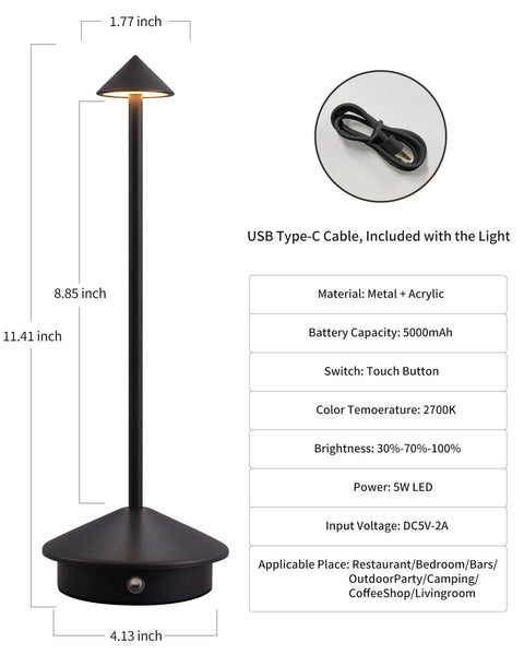 Go Anywhere Cordless Table Lamp Set Of 2 with USB Type-C cable, metal and acrylic material, dimensions labeled, for versatile use.