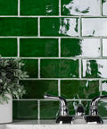 Viva Antic Verde 3x6 Ceramic Wall Tile With Dope Glazed High Sheen Finish shown as kitchen backsplash with faucet and plant.