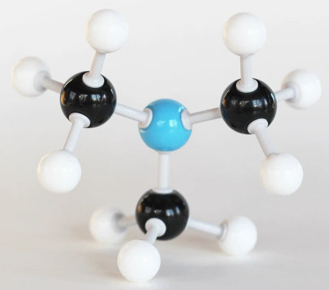 Close-up of Organic Chemistry Molecular Model Kit For Students With 88 Atoms And 140 Bond Parts Color Coded Atoms