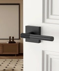 Matte Black 2 Pack Dummy Interior Door Handles With Lever And Deadbolt, Keyed Entry From Outside And Fast Thumb Button Lock Inside, All Keys Alike For A Simple, Secure Home Security Upgrade on white door