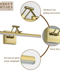 Brass Gold LED Picture Light with adjustable swing arm, showing brass base, universal head, and acrylic lampshade details.