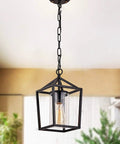 Outdoor Porch Pendant Light With Glass Shade, Vintage Metal Cage Lantern in black, hanging in an indoor setting.