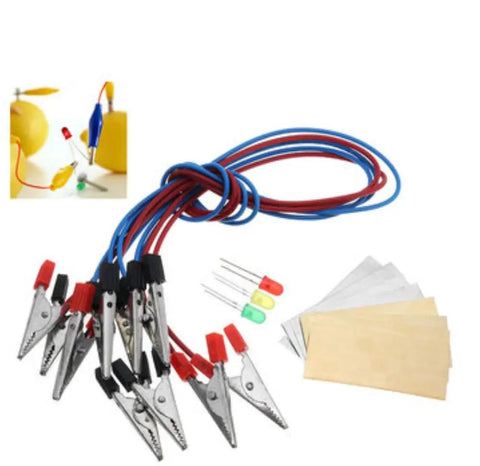 Hands On Fruit Battery Kit With Light Emitting Diode For Lemon Potato Orange Power Experiments A Fun STEM Learning Tool