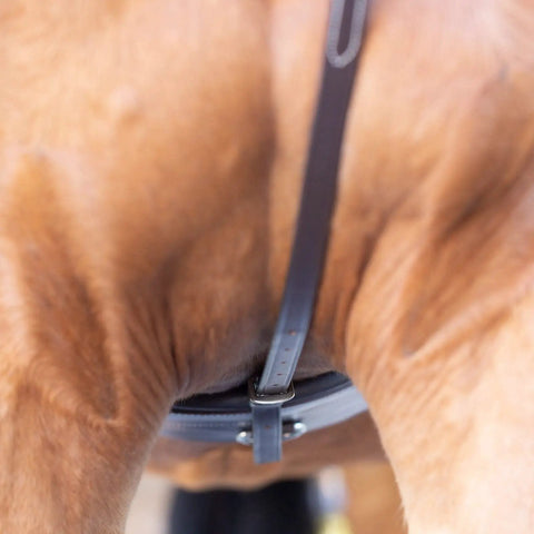 Adjustable Leather Standing Martingale With Stainless Steel Hardware For Pony, Chocolate Brown, strap detail view
