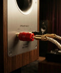 Dead Simple Plug And Play Speaker Binding Posts, M5 By 50mm Pure Copper Audio Terminals connected to speaker input.