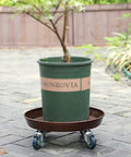 Potted plant on 20 Inch Round Plant Stand With Lockable Wheels Heavy Duty 480 Lb Capacity Rolling Plant Caddy for indoor and outdoor use