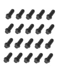 Legit Heavy Duty Steel Hex Head Bolts Measuring Two Point Five By Six Millimeters With Matte Black Finish in a pack of 20.
