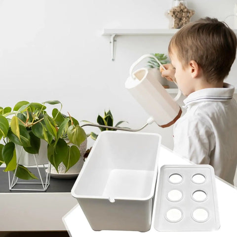 Child with white watering can and Six Hole Hydroponics Grow Box Kit For Indoor Outdoor Garden Soilless Cultivation System