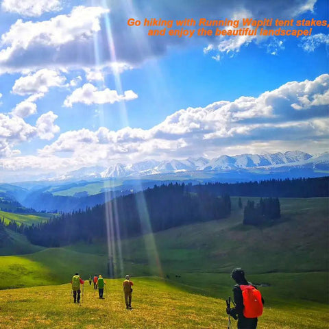 Scenic mountain landscape with people hiking in grassy field under blue sky with white clouds.