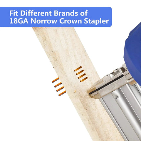 18 Gauge Narrow Crown Staples Half Inch Three Quarter Inch And One Inch Assorted 1200 Count Project Pack for electric stapler