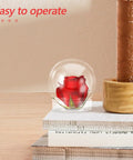 Clear 4 Inch Snow Globe Kit with red rose inside on wooden table, part of DIY decor and gift ideas set.