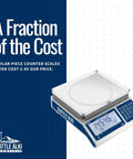 High Capacity Industrial Counting Scale For Small Parts 30 Kg X 0.5 G Quick Count In Seconds No Brainer Time Saver displayed in blue and white